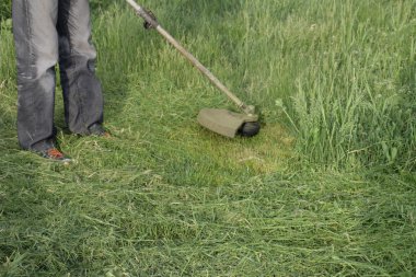 Balık tutma çizgi düzeltici kullanarak yeşil çim biçme. Uygulama & bıyık kesme makineleri.