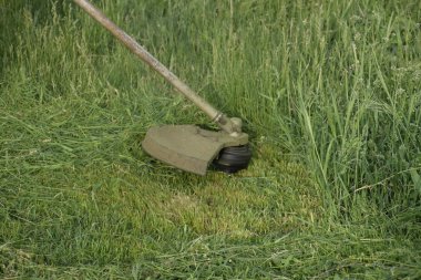 Balık tutma çizgi düzeltici kullanarak yeşil çim biçme. Uygulama & bıyık kesme makineleri.