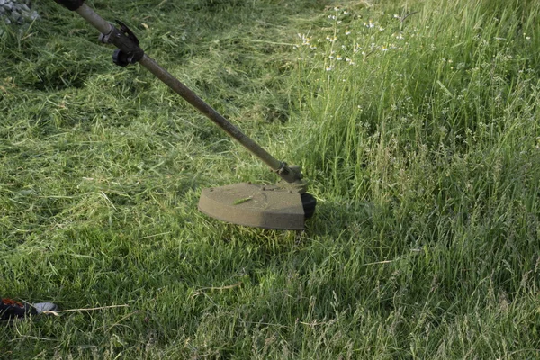 Memotong Rumput Hijau Menggunakan Trimmer Pancing Pemangkas Aplikasi — Stok Foto