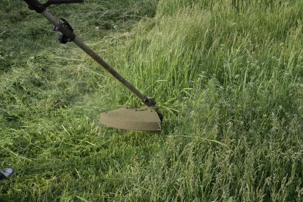 Memotong Rumput Hijau Menggunakan Trimmer Pancing Pemangkas Aplikasi — Stok Foto