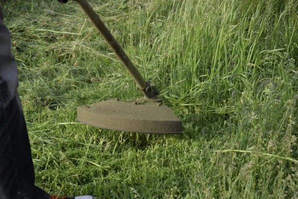 Mowing Green Grass Using Fishing Line Trimmer Application Trimmers — Stock Photo, Image