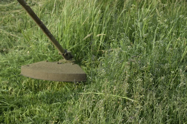 Grünes Gras Mit Einem Angelschnurschneider Mähen Anwendungsschneider — Stockfoto