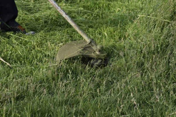 Mowing Green Grass Using Fishing Line Trimmer Application Trimmers — Stock Photo, Image