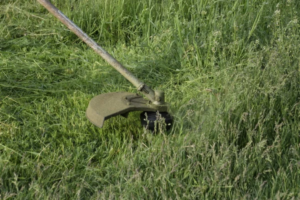 Grünes Gras Mit Einem Angelschnurschneider Mähen Anwendungsschneider — Stockfoto