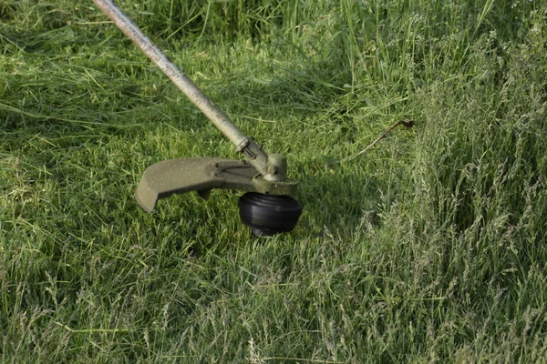 Maaien Van Gras Met Behulp Van Een Visserij Lijn Trimmer — Stockfoto