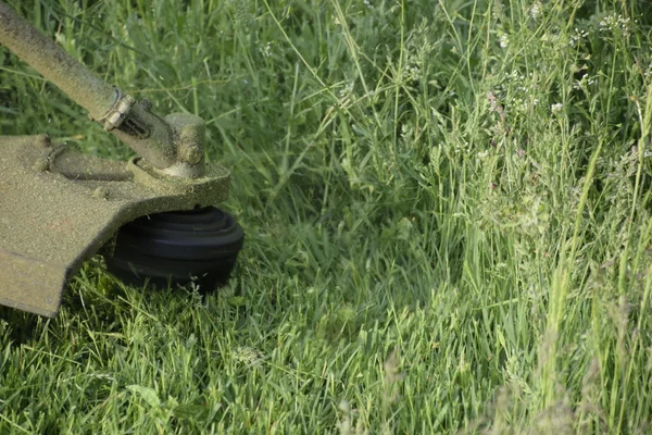 Memotong Rumput Hijau Menggunakan Trimmer Pancing Pemangkas Aplikasi — Stok Foto
