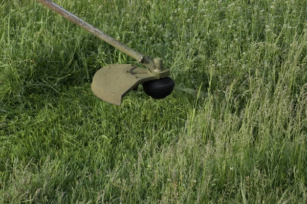 Memotong Rumput Hijau Menggunakan Trimmer Pancing Pemangkas Aplikasi — Stok Foto