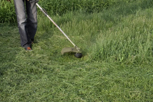 Memotong Rumput Hijau Menggunakan Trimmer Pancing Pemangkas Aplikasi — Stok Foto