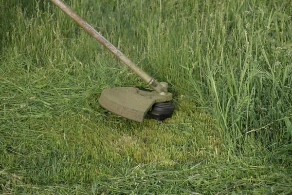 Mowing Green Grass Using Fishing Line Trimmer Application Trimmers — Stock Photo, Image