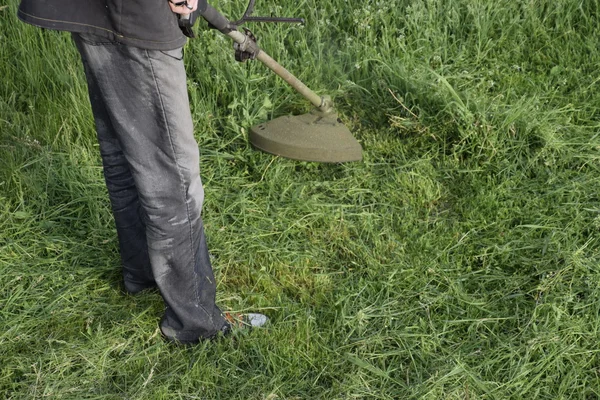 刈割利用钓鱼线微调的绿草 修剪机中的应用 — 图库照片
