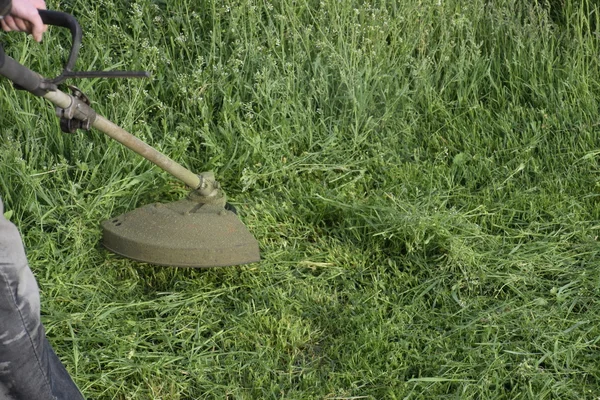 Mowing Green Grass Using Fishing Line Trimmer Application Trimmers — Stock Photo, Image