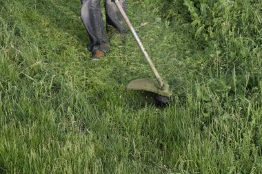 Balık tutma çizgi düzeltici kullanarak yeşil çim biçme. Uygulama & bıyık kesme makineleri.