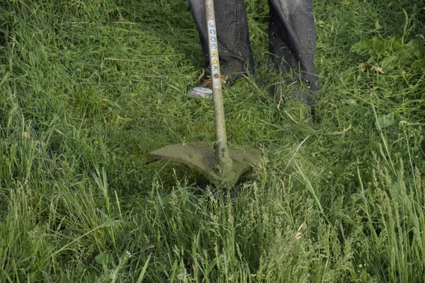 Memotong Rumput Hijau Menggunakan Trimmer Pancing Pemangkas Aplikasi — Stok Foto