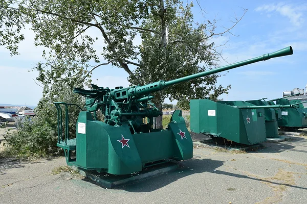 Aircraft Guns Museum Weapons Open Air Museum — Stock Photo, Image