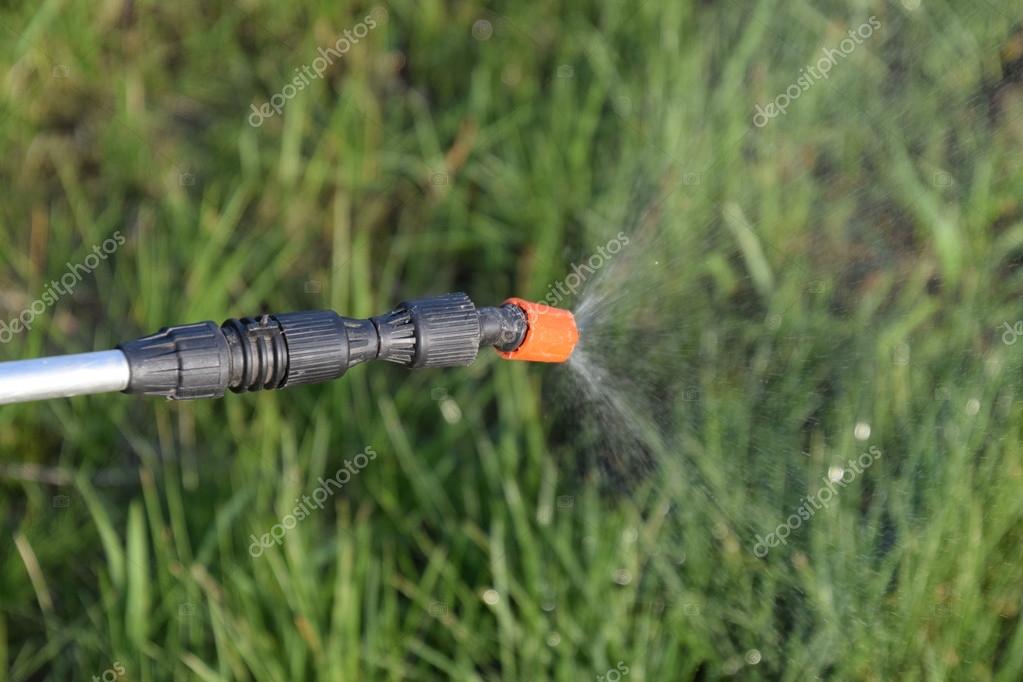 Spraying herbicide from the nozzle of the sprayer manual Stock Photo by