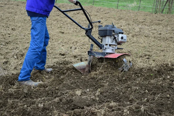 Plantar Papas Bajo Tractor Hombre Con Motor Bloque Jardín —  Fotos de Stock