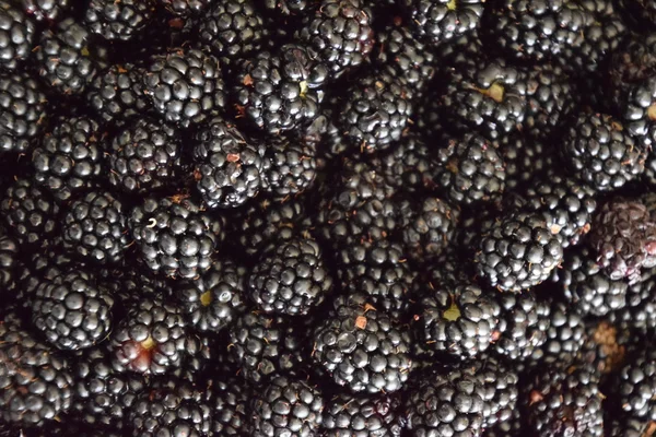 Placa Con Moras Negras Bayas Frutos Bayas Sobre Mesa — Foto de Stock