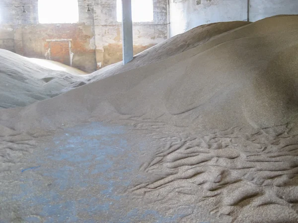 Heap of grains of barley and wheat in stock. Storage of grain crop before delivery to the consumer.