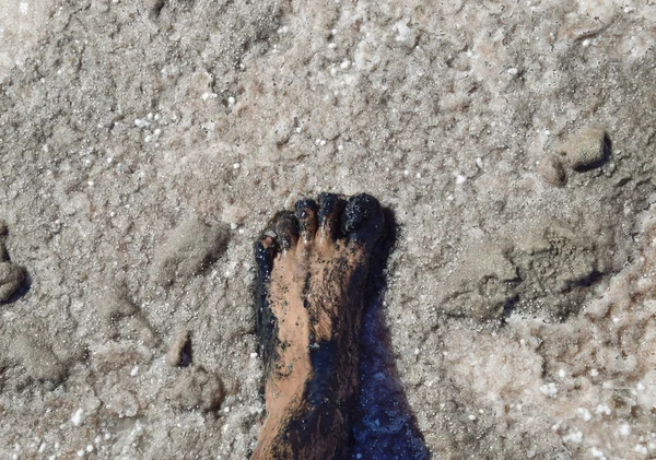 Человеческая Нога Грязи Солёном Озере Лечебная Грязь Соль — стоковое фото