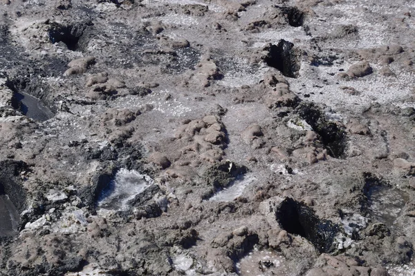 Traces of human feet in the salt lake of mud. The surface of the salt lake.