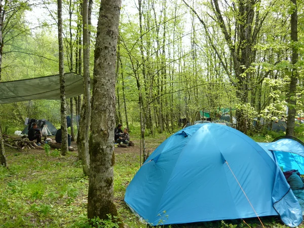 森林キャンプ場でテントを観光 — ストック写真