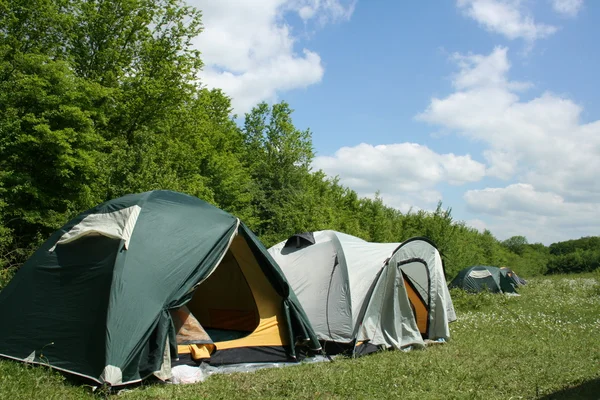 Namioty turystyczne w lesie na kempingu — Zdjęcie stockowe