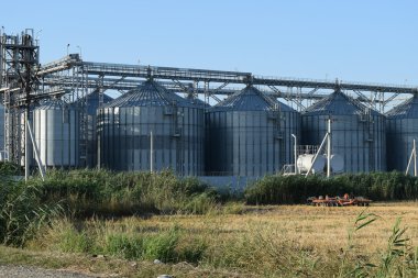 pirinç fabrikası