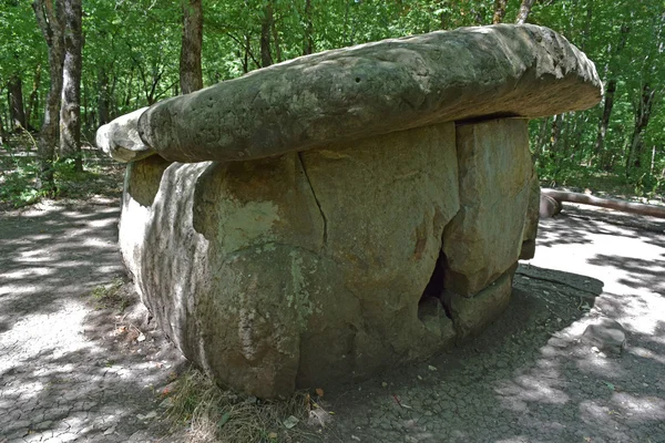 Grosso Dolmen Shapsug Una Costruzione Megalitica Nei Boschi Kuban — Foto Stock