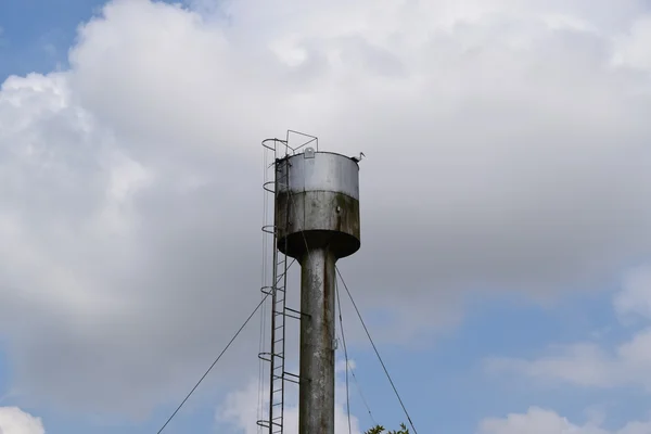 Ooievaar Een Dak Van Een Watertoren Ooievaar Nest — Stockfoto