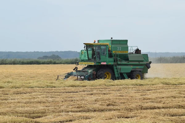 Rice harvesting by the combine — Stock Photo, Image