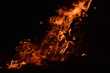 Yangın var. Geceleri pirinç kamışı yakmak.