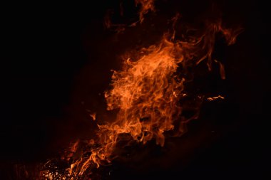 Yangın var. Geceleri pirinç kamışı yakmak.