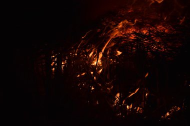 Yangın var. Geceleri pirinç kamışı yakmak.