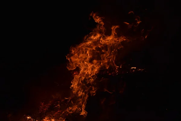 Fuego Fuego Quemadura Paja Arroz Por Noche — Foto de Stock