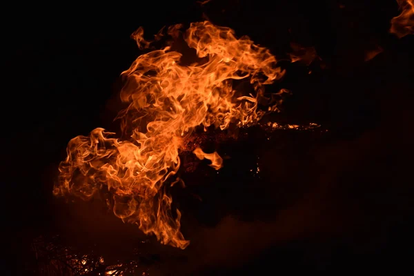 Fuoco Bruciatura Paglia Riso Notte — Foto Stock