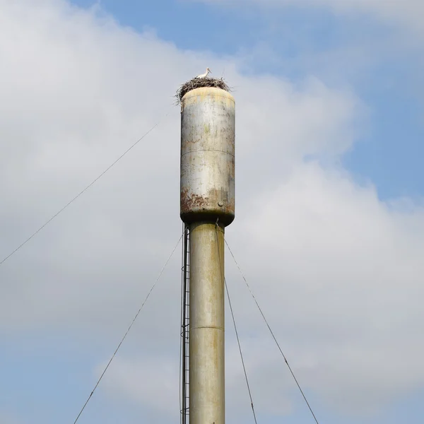 Cegonha em um telhado da torre de água — Fotografia de Stock
