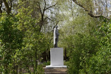 Çalılıkların arasından eski lenin heykeli bakıyor