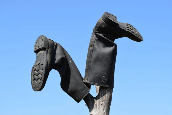 지천에는 Rogatena 태양에 신발의 — 스톡 사진