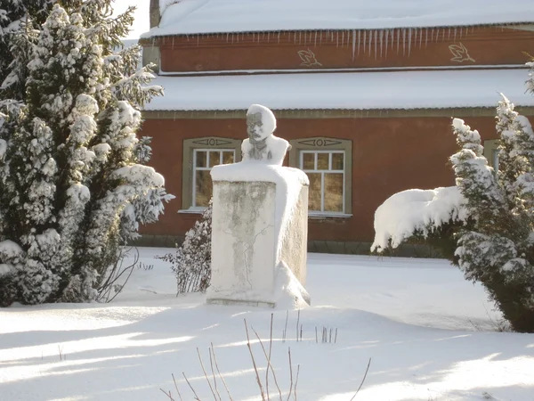 Pomnik Młodych Włodzimierz Ilicz Lenin Radziecki Działacz Komunistyczny — Zdjęcie stockowe