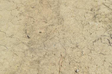 Toprak bir toprak yol üzerinde