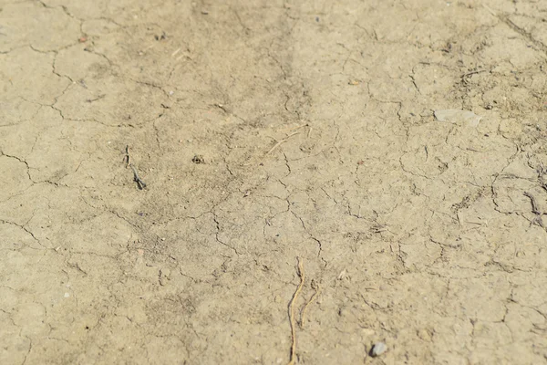 Почва на грунтовой дороге — стоковое фото