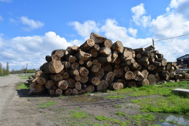 Günlükleri bir yığın kereste fabrikası önünde yığılı. Ahşap endüstri için hammadde.
