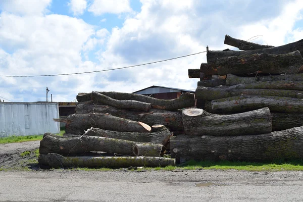 Log Ditumpuk Tumpukan Depan Sawmill Bahan Baku Untuk Industri Kayu — Stok Foto