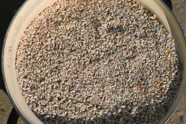 Hintergrund Aus Farbigem Reis Reiskörner Der Pfanne — Stockfoto