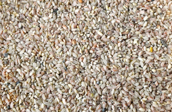 Background of colored rice — Stock Photo, Image