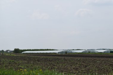 Özel bir bahçede sera polikarbonatı. Çiftlik arazisi.