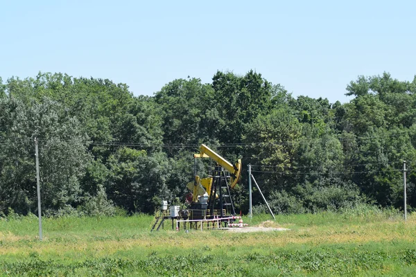 Petrol pompası bir kuyuya yerleştirildiğinde pompalama ünitesi. Petrol sahaları ekipmanı.