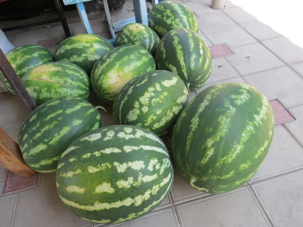 Harvest Watermelons Yard Tile Fruits Watermelon — Stock Photo, Image