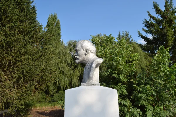 Monument Vechi Pentru Lenin Bust Concret Lui Lenin Lângă Centrul — Fotografie, imagine de stoc