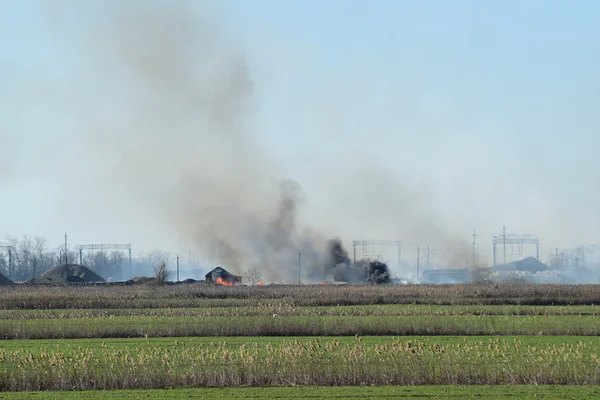 消防灌溉渠道 在灌溉系统中燃烧干草和藤田 燃烧的残骸和橡胶 — 图库照片